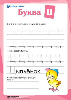 Русский алфавит: написание буквы «Ц»