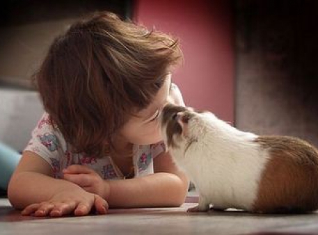 Как научить ребенка уважать животных