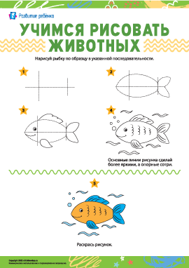 Учимся рисовать животных: рыбка 
