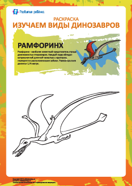 Раскраска динозавры: рамфоринх