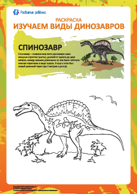 Раскраска динозавры: спинозавр