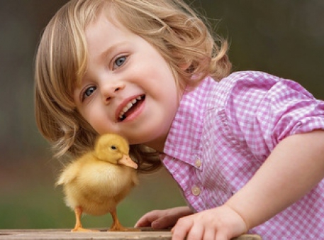 Сострадание к животным – важная часть воспитания