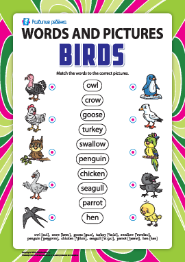 Слова и рисунки: птицы