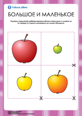Разложи яблоки по размеру