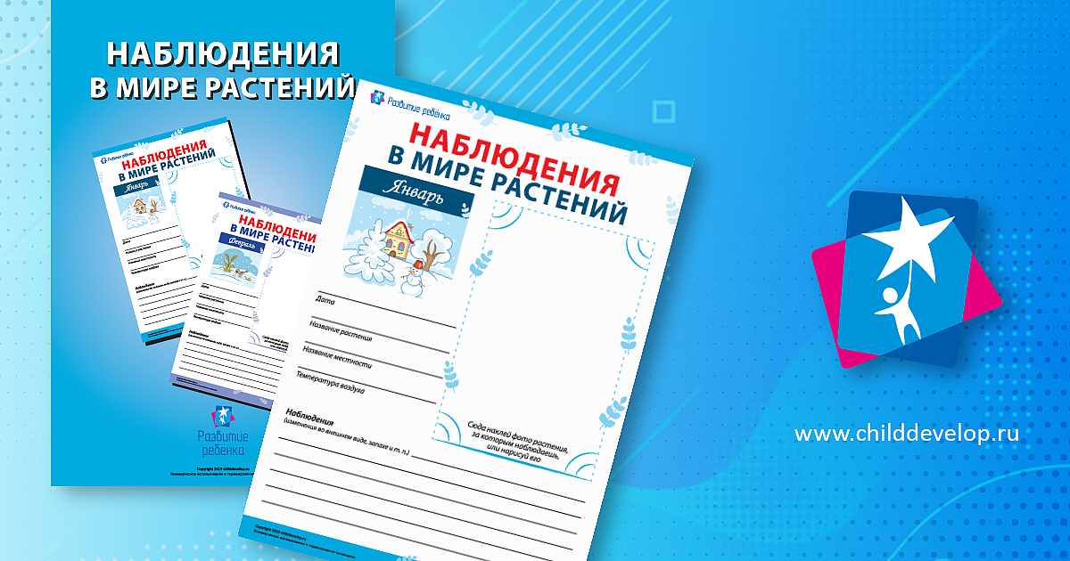 Наблюдения за миром растений в сентябре – распечатать задание Времена и ...