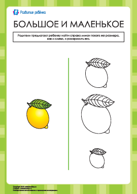Какие лимоны одинаковые по размеру?
