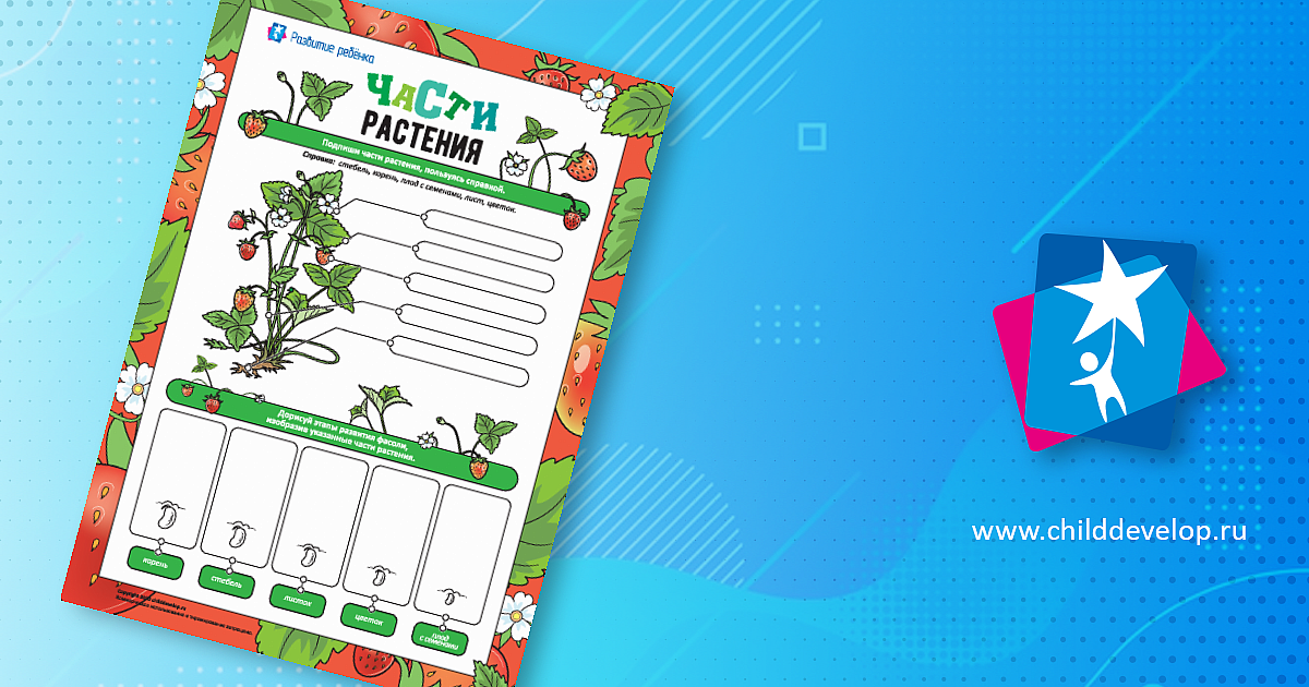 Изучаем части растения – распечатать задание Мир растений скачать ...